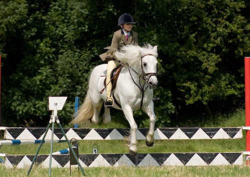 89 - Moniaive Horse Show 2008