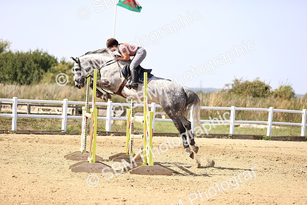 SBM_006998 - Class 13 - Senior Newcomers - 1.10m