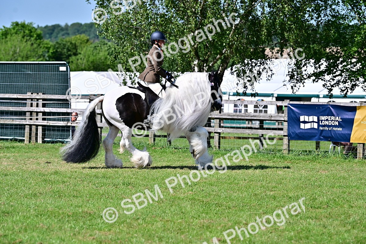 SBM_19359 - Class 101-102 - BSPS LIHS Performance Coloured Horse/Pony
