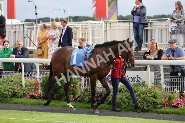 yr23072021r3-8 - Race 3 7.00pm The JKH 80th Birthday Celebration EBF Novice Median Auction Stakes (Plus 10 Race)