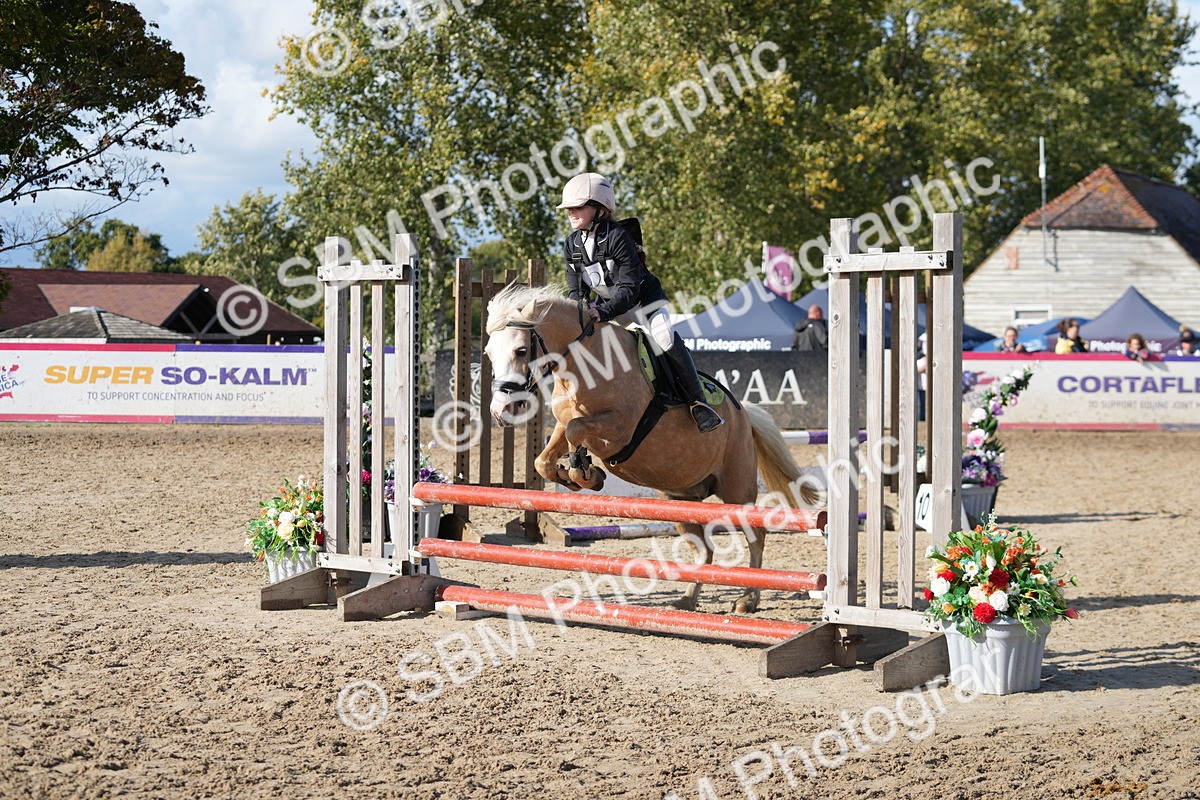 SBM_49281 - J8 - Junior Pony 65cm Championship
