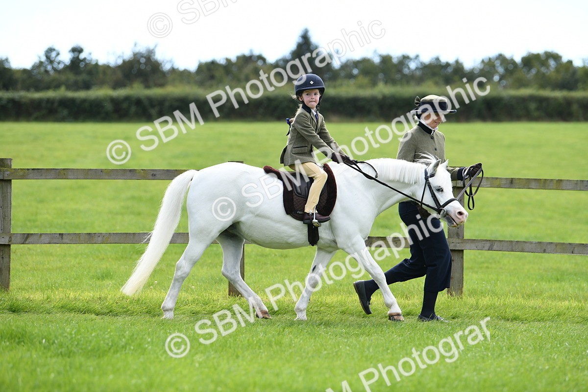 SBM_42474 - S20 - Lead Rein Mountain & Moorland Pony