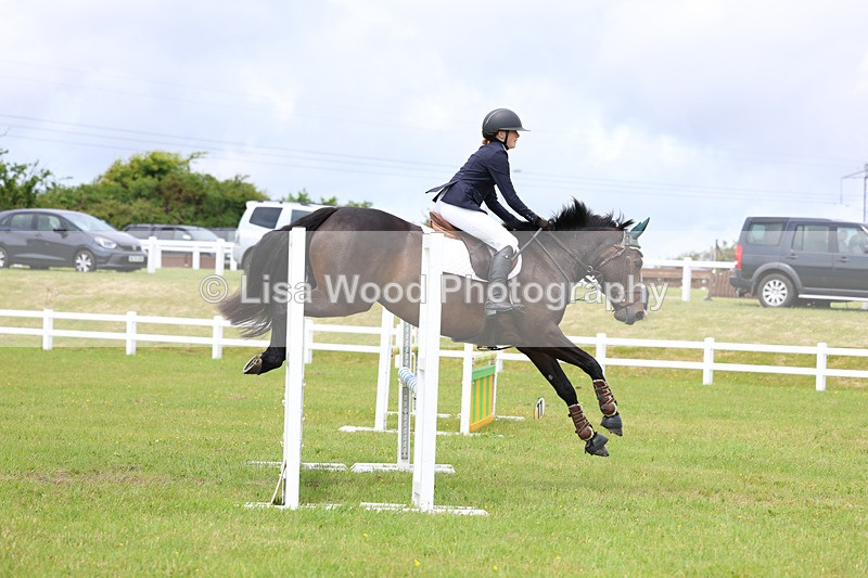3E7A7201 - Class 13: Senior British Novice/90cm open