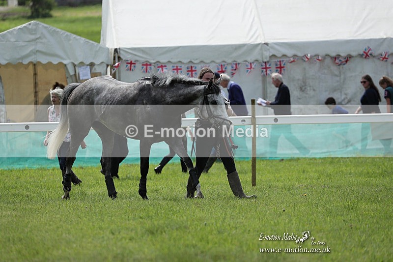 PtP 070523 255 - Kimblewick Races Coronation Meet  Kingston Blount 07/05/23