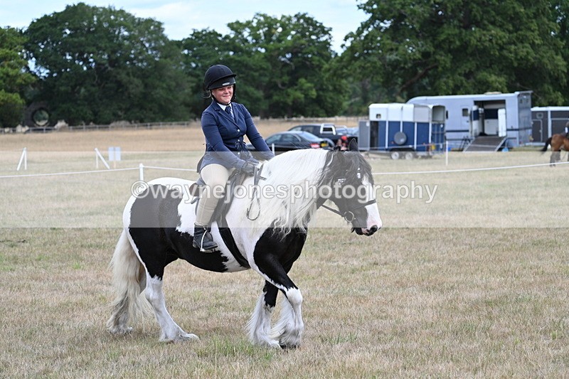 WJ7_5452 - Class 12 Ridden Cob