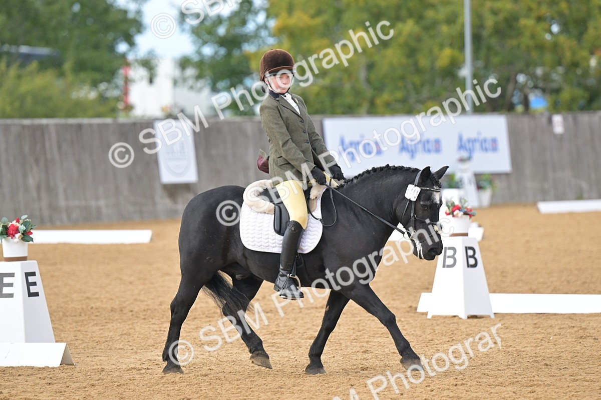SBM_12885 - D3 - Small Tour Championship Intro 3