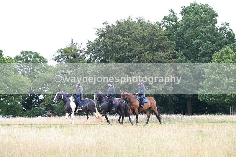 DSC_2697 - Time at Statue 12:34 to 12:56