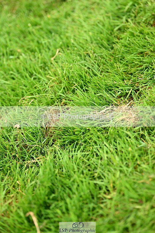 250706A-102221-17281 - Cls 43 Snr 1.30m Grand Prix