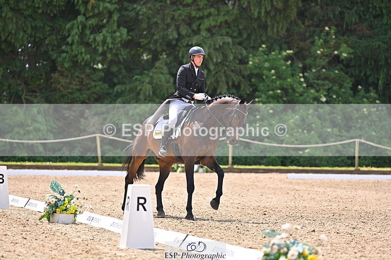 250523A-123620-06930 - C-264-Max.Warburton-EARL.DORADO