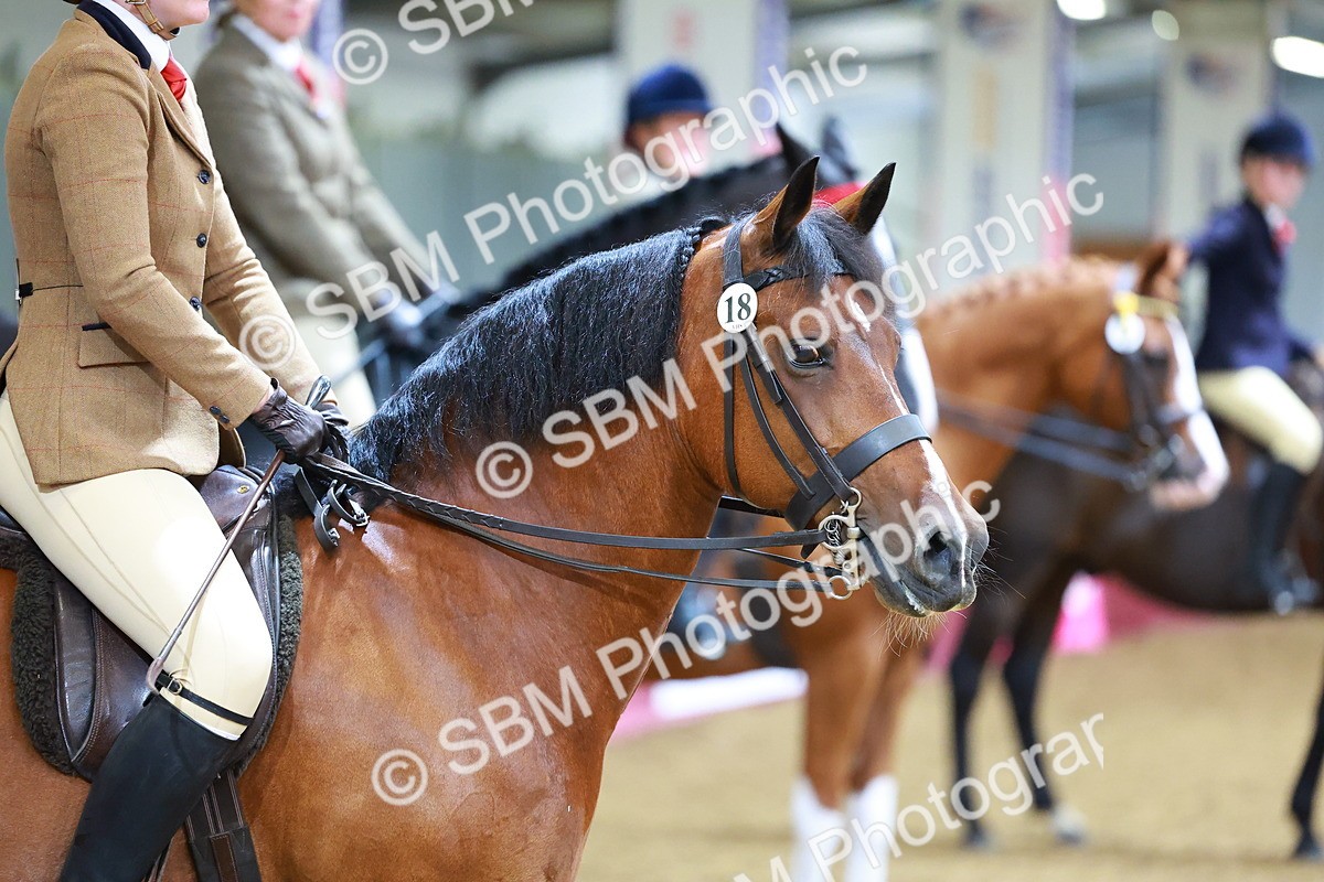 SBM_00813