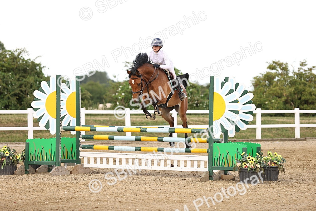 SBM_002567 - Class 19 - Nupafeed Supplements Senior Discovery - 1.00m