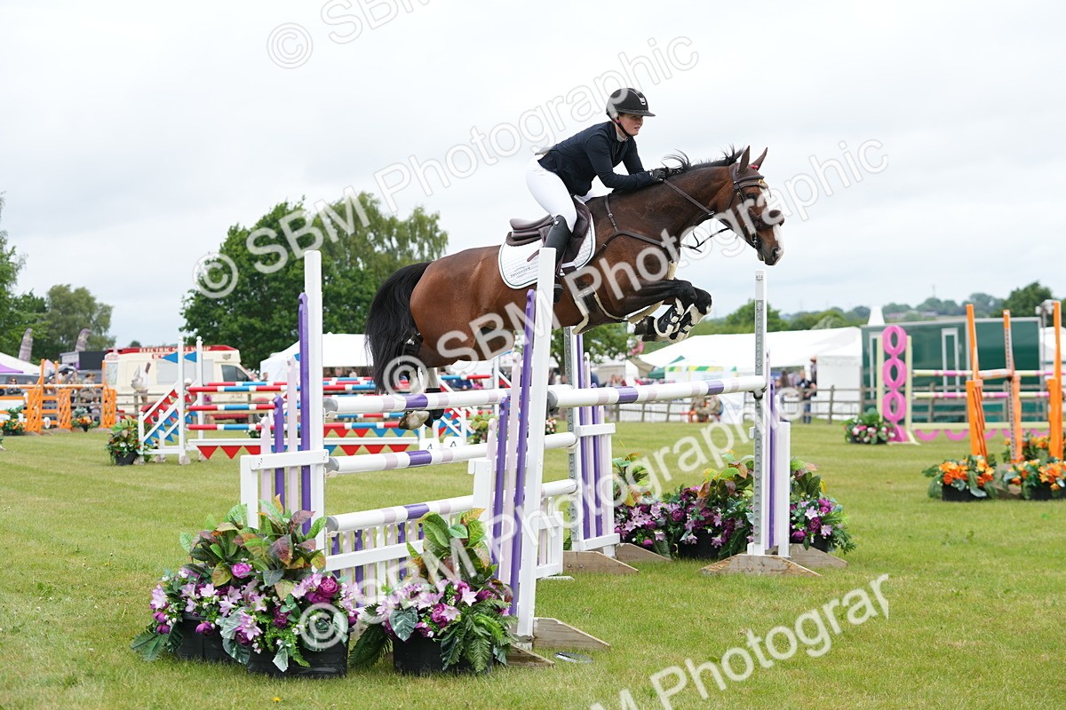 SBM_03152 - Class 201 - British Horse Feeds Speedi Beet Horse of the Year Show Grade  C