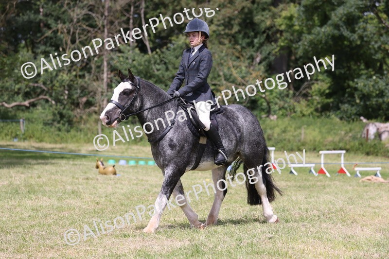 20260614-1974 - Class 21 - Novice Working Hunter Pony