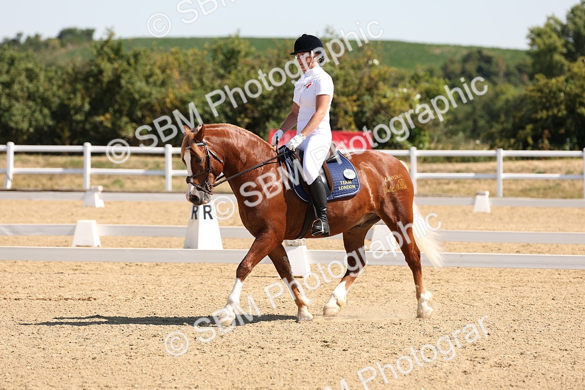 SBM_001084 - Intro 2