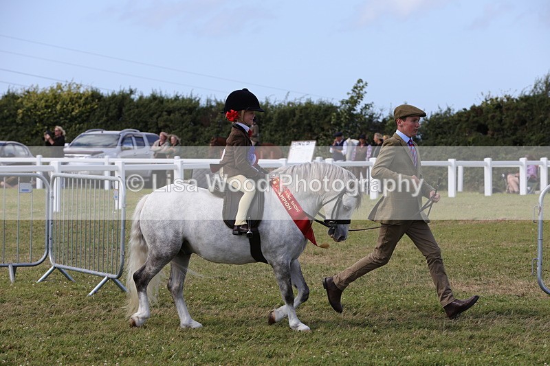 1X9A5506 - M&M Mini Ridden Championship