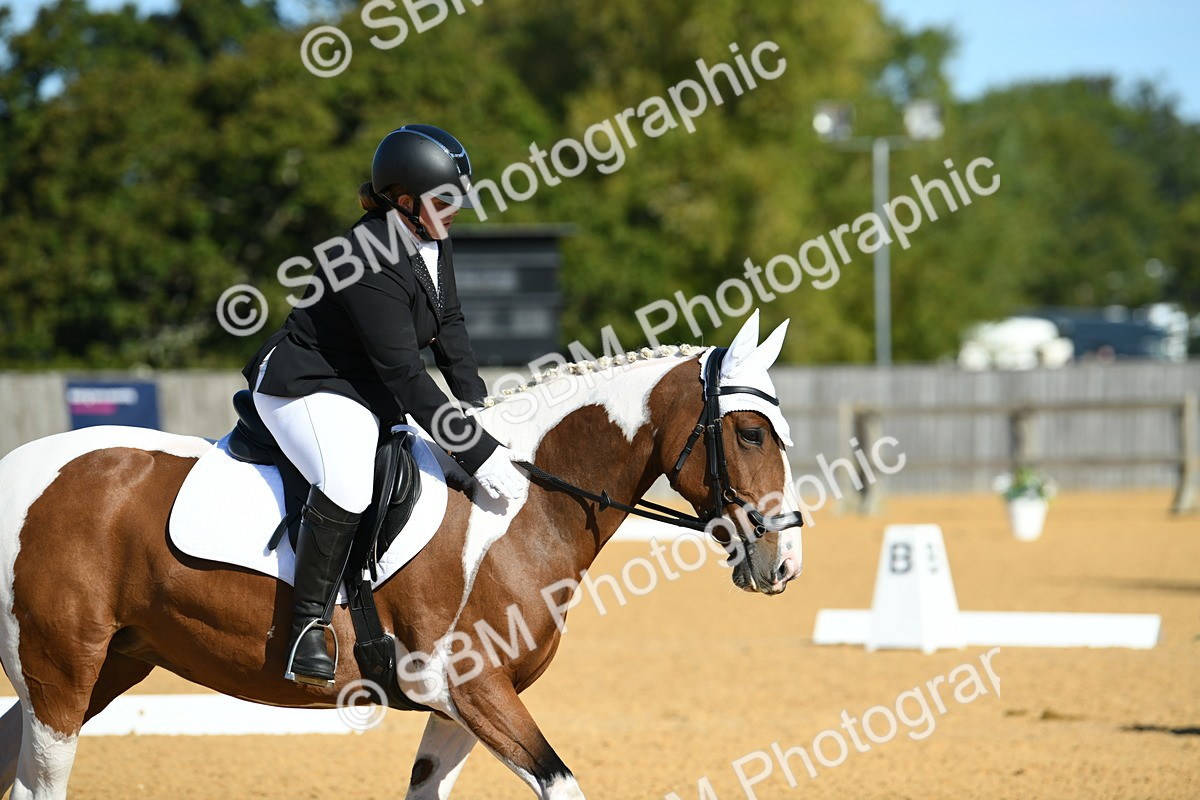 SBM_17938 - D4 - Small Tour Championship - Intro B