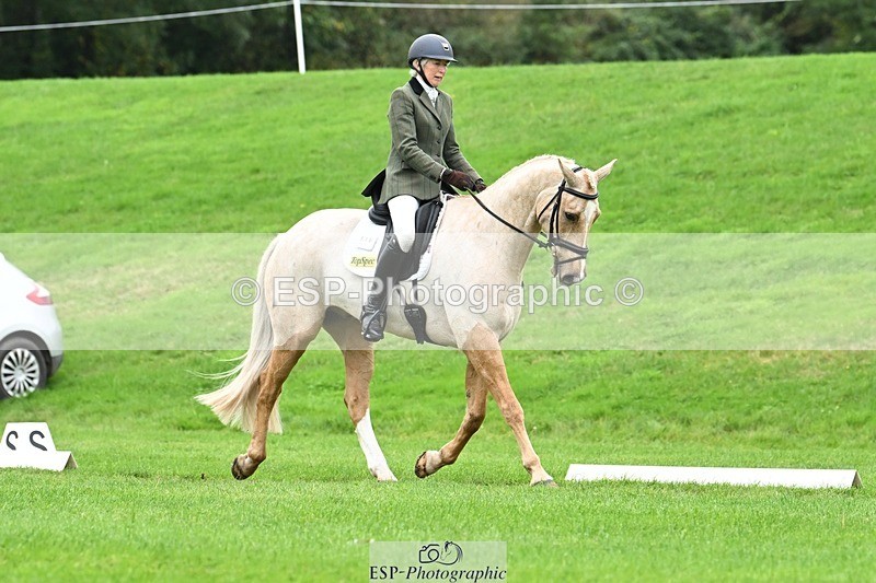 241024-125233-03542 - 519-Jane.Rogers-CORRIEVIEW.MERLIN.MAGIC