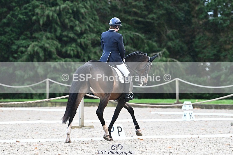 231110-145925-02080 - Cls 8 Medium 75Q