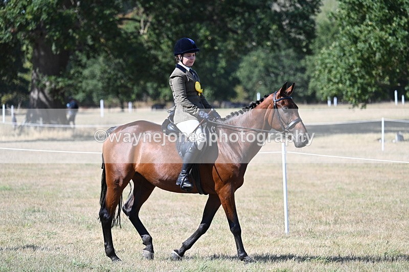 WJ7_1417 - Class 41 Prettiest Mare