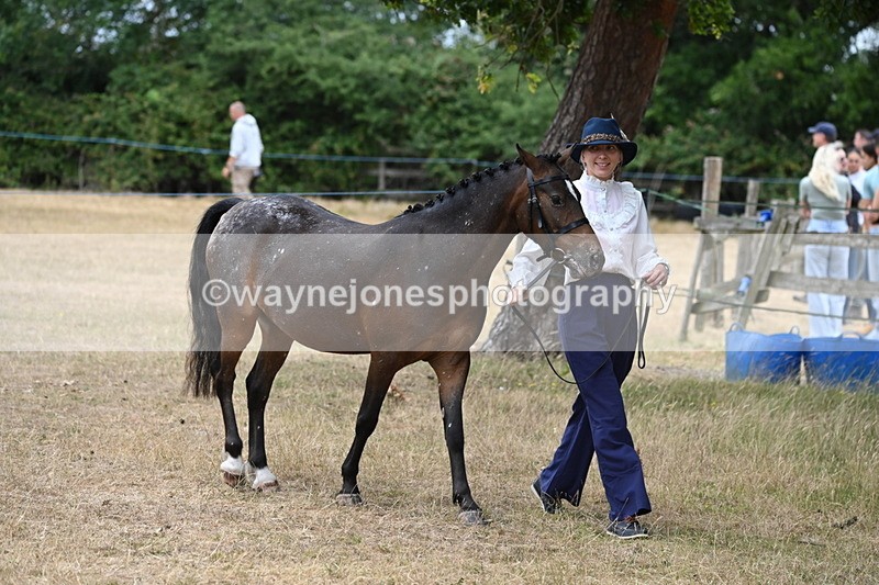 WJ6_7954 - Class 10 Coloured in Hand