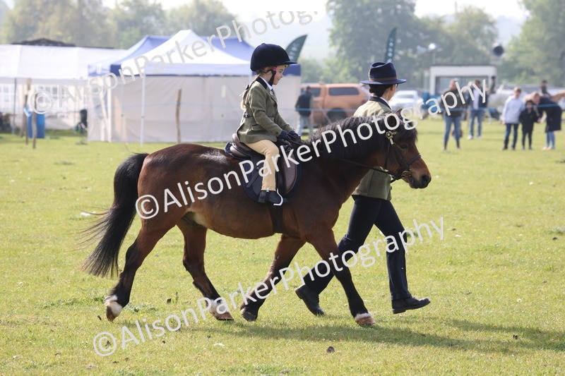 20260426-0342 - Class 30 - Tiny Tots Lead Rein