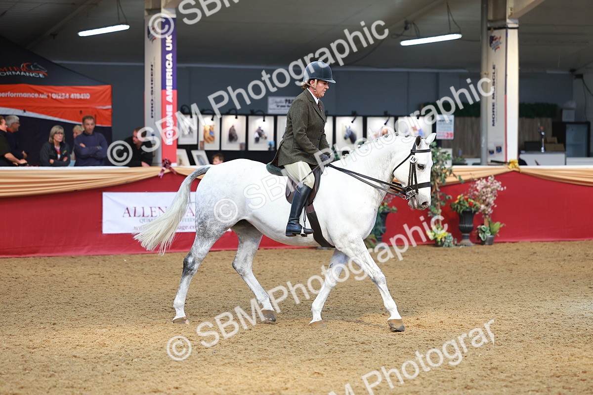 SBM_10613 - Class 103 - HOYS Veteran Qualifier - Ridden Pre Vet