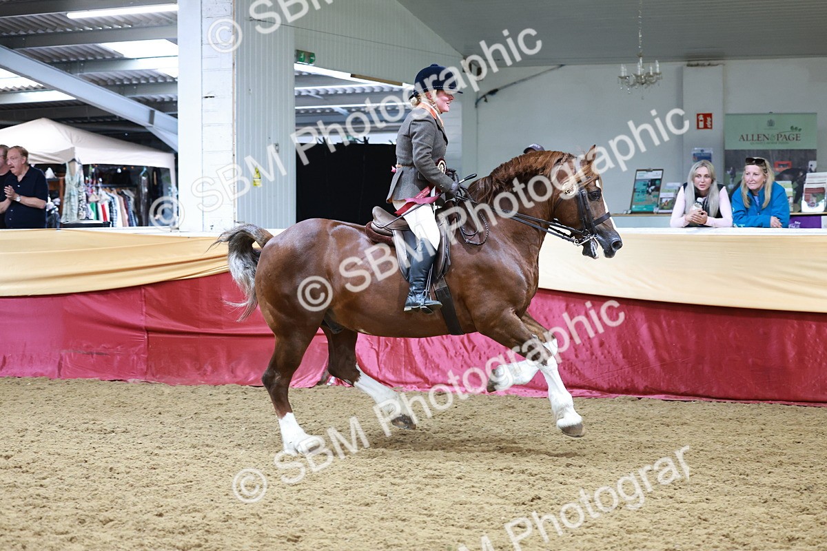 SBM_18922 - Class 952 - M&M Ridden Supreme Final