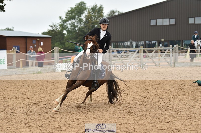 230902A-113936-00789 - Cls 2B Pony Small 80cm