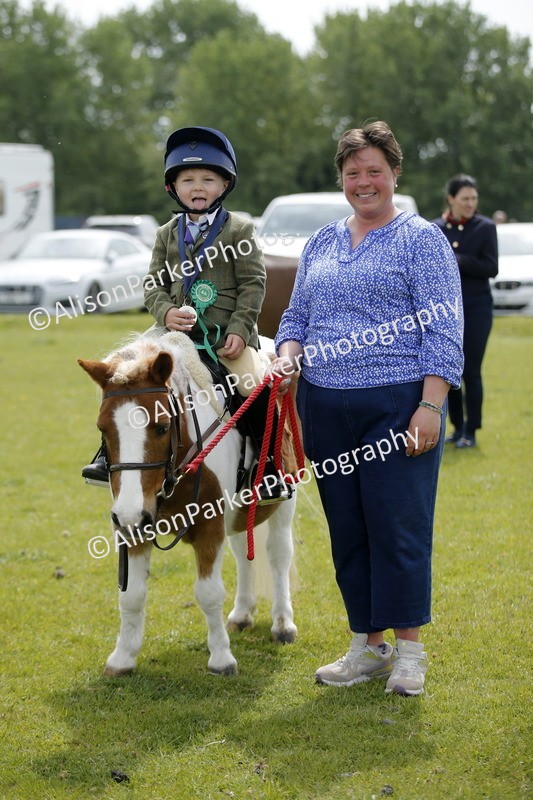 20260426-2175 - Class 9 - Handsomest Gelding