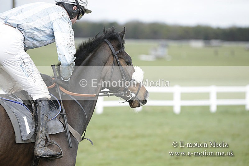 PtP 150320 0463 - New Forest Point-to-Point Larkhill 15/03/20