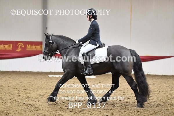 BPP_8137 - INTRO 1