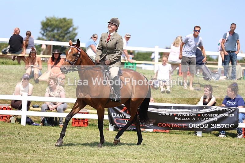 3E7A9393 - Class 12: Open Racehorse to Show Horse