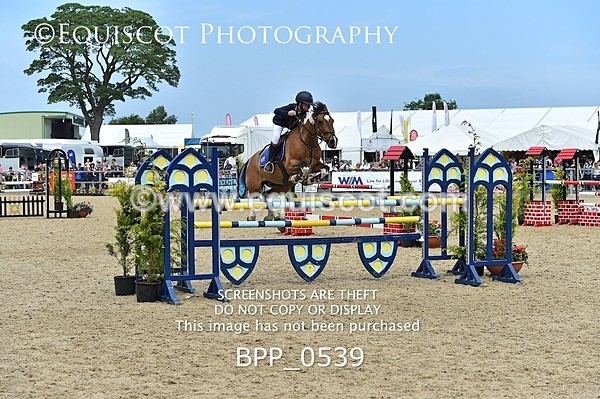 BPP_0539 - RHS 2019 Selection - *Just some random spectator shots so Lucky Dip if you are there!