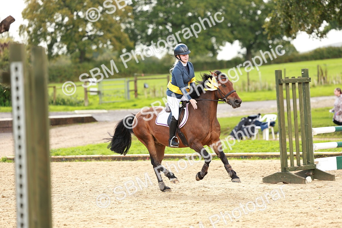 SBM_38136 - J39 - Senior Horse & Pony 85cm Championship