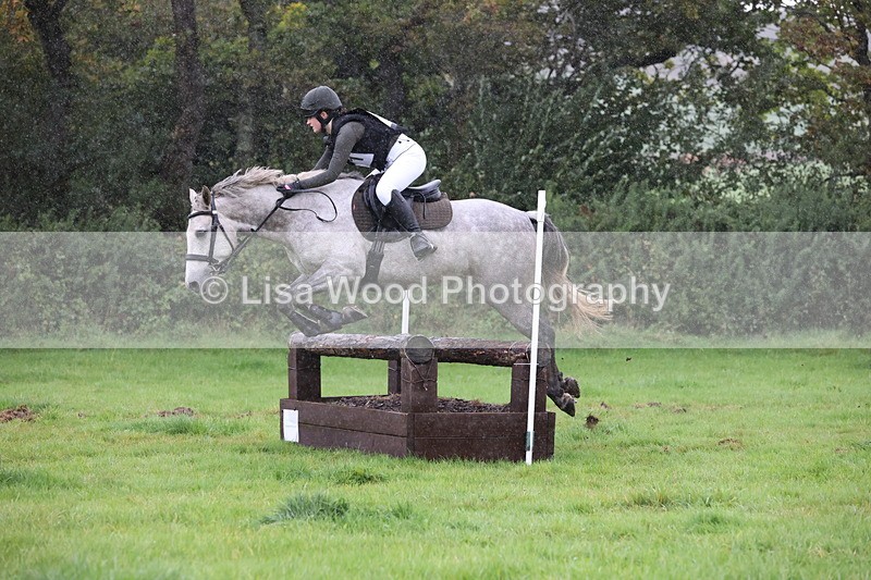 JPP_5413 - Class 4: 80cm: Crossed Logs