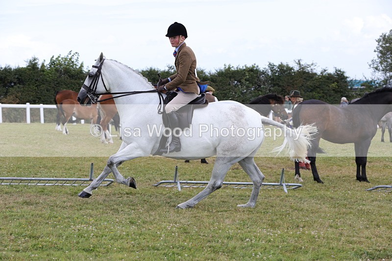 1X9A4155 - Class 33: Intermediate SRT/SH