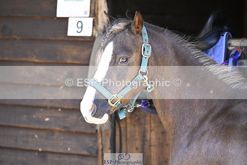 240728B-093136-00039 - Sunday Stable Shots and Fancy Dress