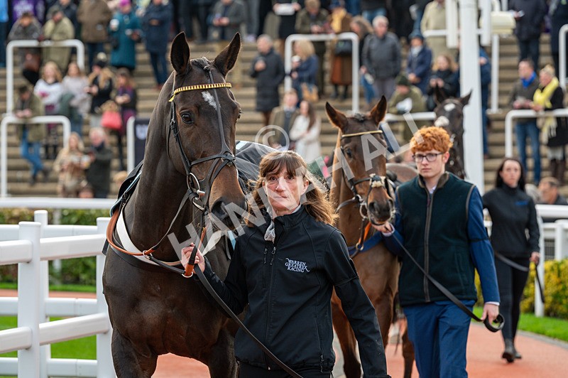 161125-Race 1-Gaelic Pride-1118 - Race 1