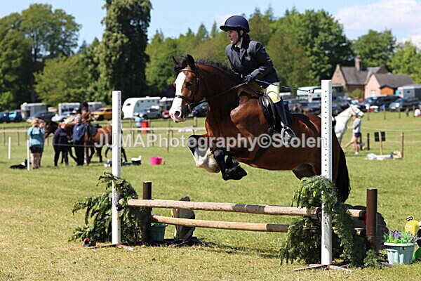 IMG_3494 - Working Hunter