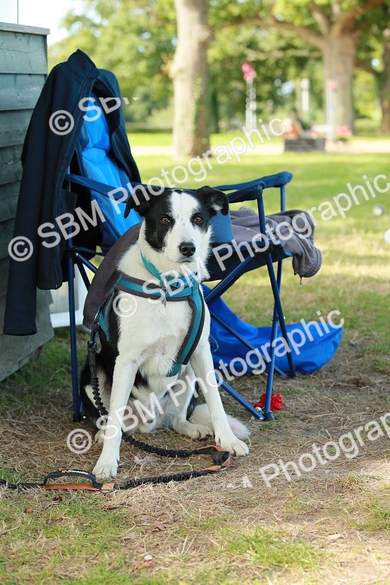 SBM_21855 - E11 - Eventers Challenge 60cm Championship