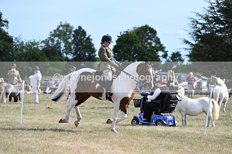 WJ7_7479 - Class 14 Ridden Coloured