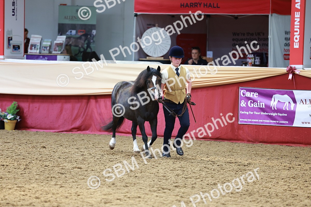 SBM_17367 - Class 951 - M&M IH Supreme Final