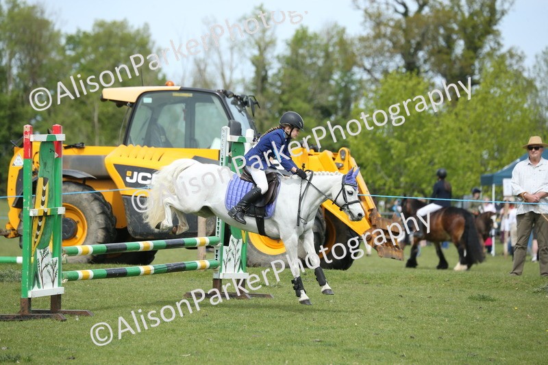 20260426-2015 - Class 15 - Absolute Novice 70cm