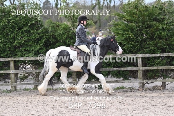 BPP_7398 - RING 1  (RIDDEN HORSES / IN HAND / VETERAN ETC)