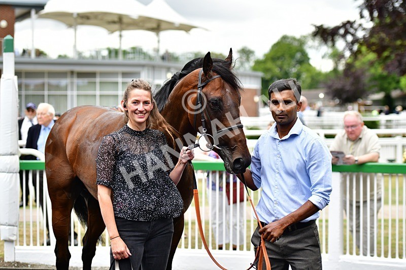 170625-Race 5-Blue RC-4052 - Race 5