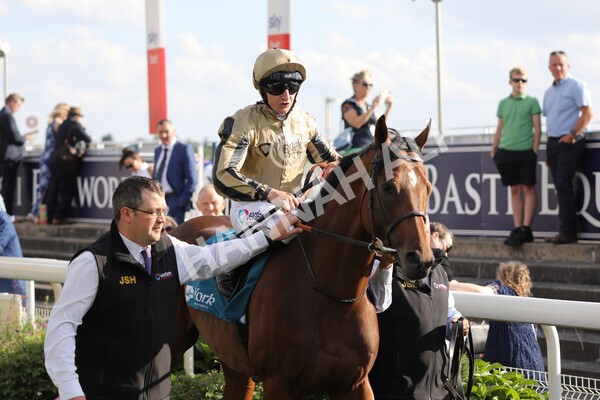 yr20082022r7-11 - Race 7 5.20pm Sky Bet Finale Stakes