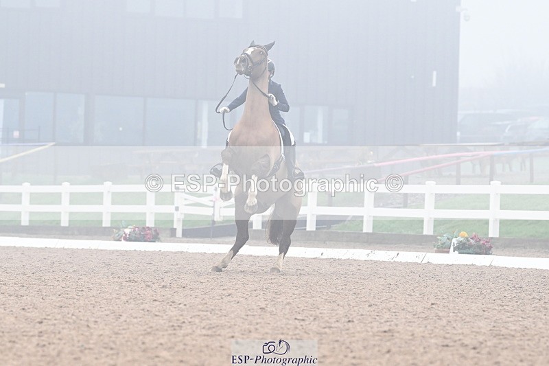 240217A-123906-02661 - 212-Victoria.Gawler-Scirocco