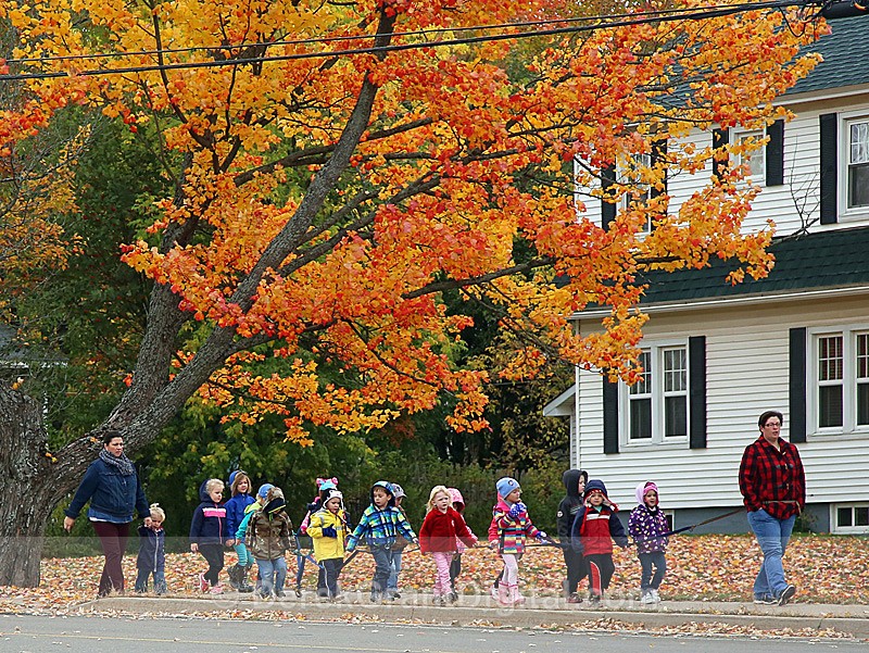 Autumn Foliage New Brunswick Canada - Autumn Festival