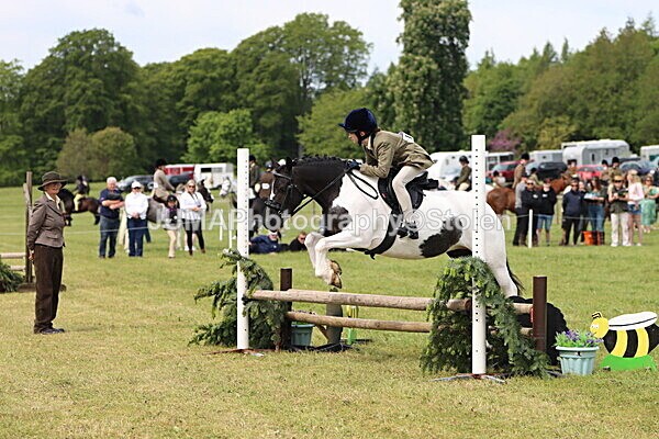 IMG_2922 - Working Hunter