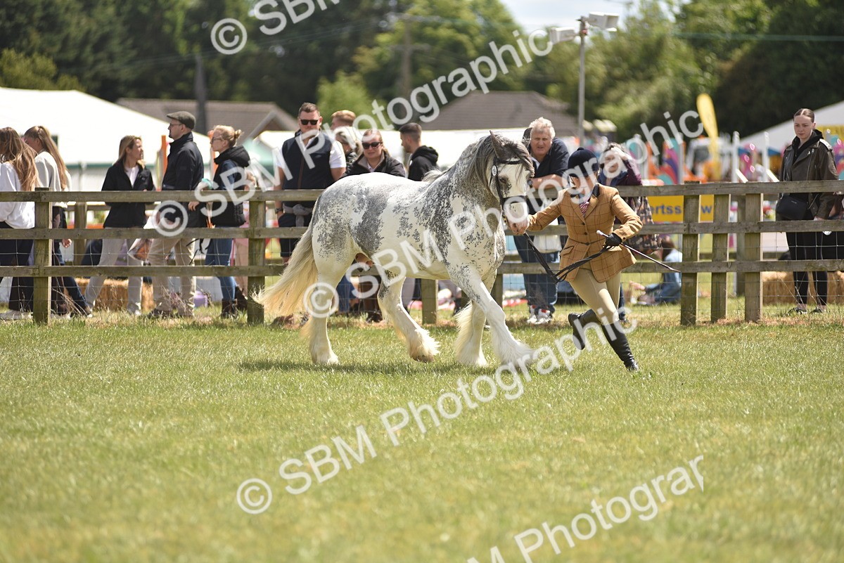 SBM_15856 - Class 115-116 - SSADL Home Produced Members Qualifier